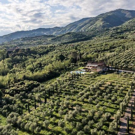 Ampio Appartamento Completamente Rinnovato Con Vista E Piscina Lucca Exteriör bild