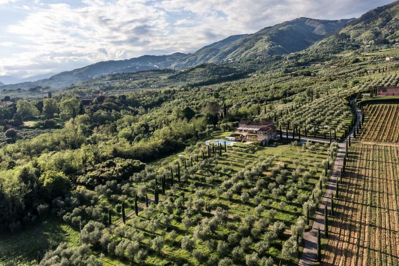 Ampio Appartamento Completamente Rinnovato Con Vista E Piscina Lucca Exteriör bild